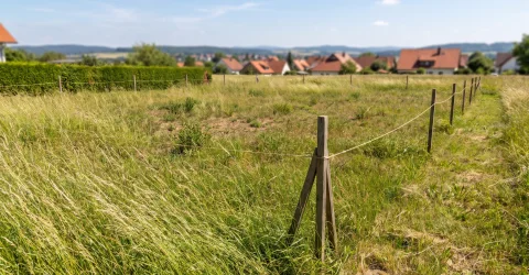Unbebautes Baugrundstueck mit Vermessungspfloecken